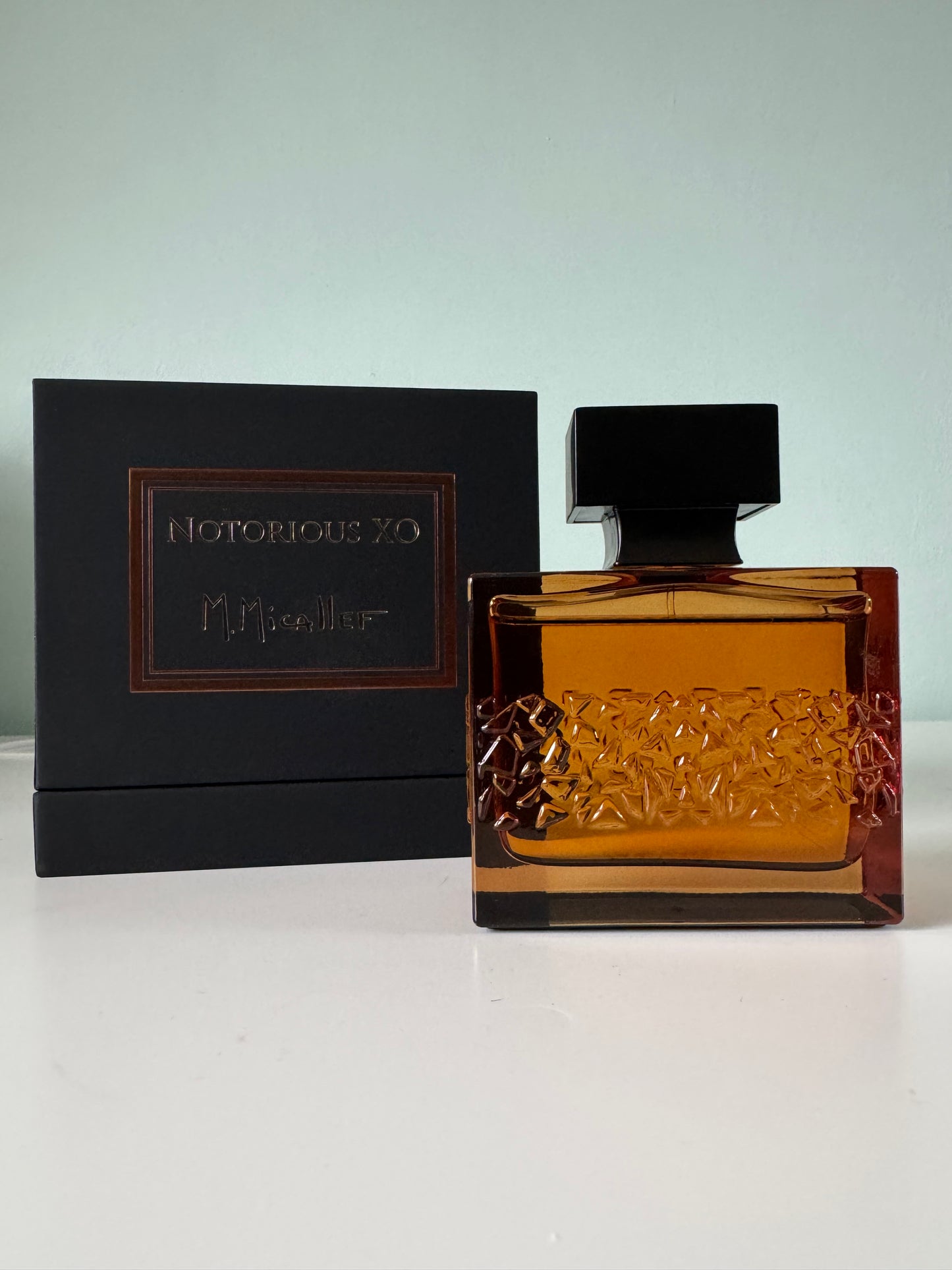 NOTORIOUS XO - M MICALLEF
